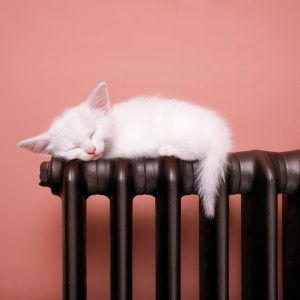 Bradford heating repairs